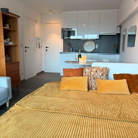 Sea Gallery * 奥斯滕德