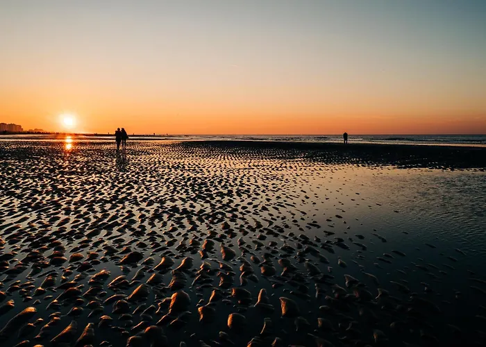 Sea Gallery 公寓 *