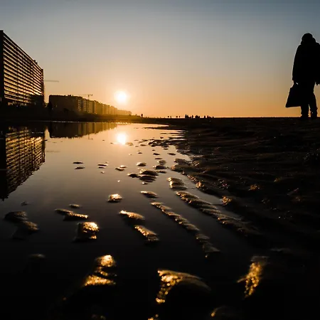 Sea Gallery Остенде